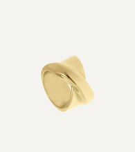 Cargar imagen en el visor de la galería, anillo de oro