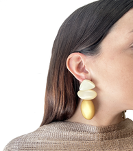 Cargar imagen en el visor de la galería, Caravanas resina mate combinadas - Fahoma.uy