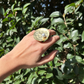 Anillo circular con perla, vista 2 – Fahoma