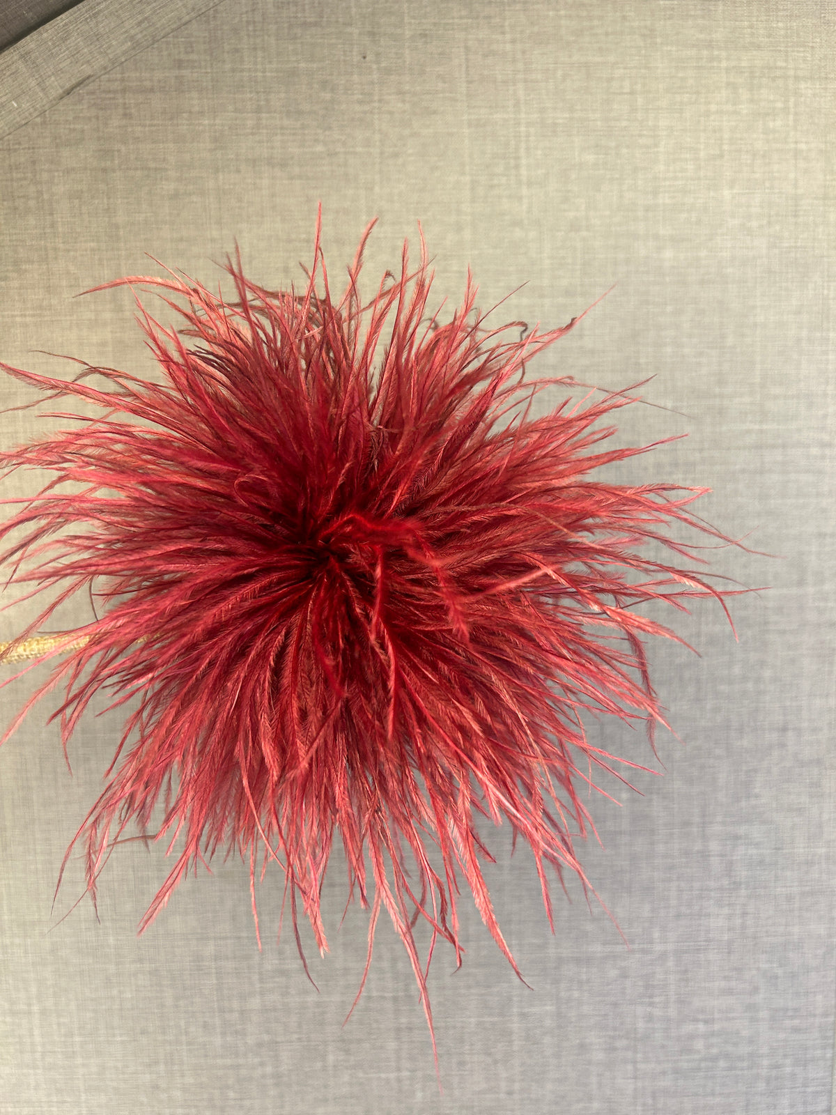 Broche de plumas, vista 3 – Fahoma