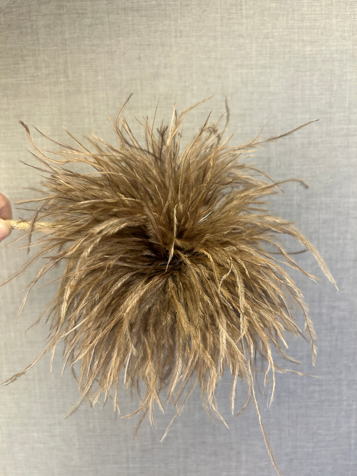 Broche de plumas, vista 4 – Fahoma