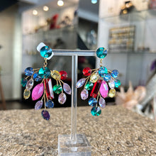 Cargar imagen en el visor de la galería, Caravanas "Rama"  multicolor
